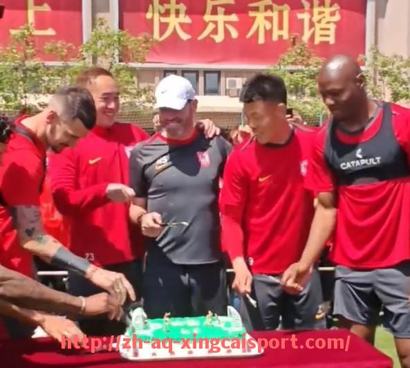 杏彩体育-法甲球队阵容分析：人员配置与阵型搭配研究