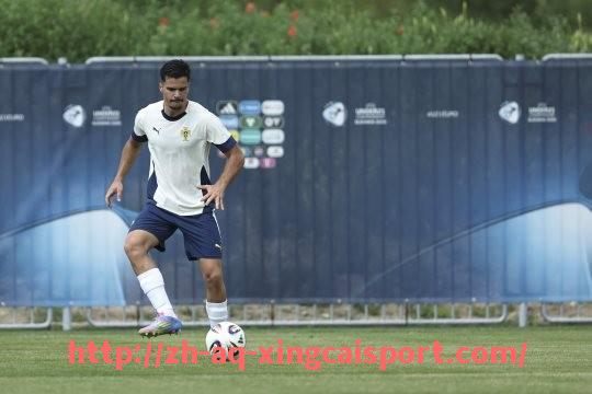 杏彩体育-法甲球队阵容分析：人员配置与阵型搭配研究