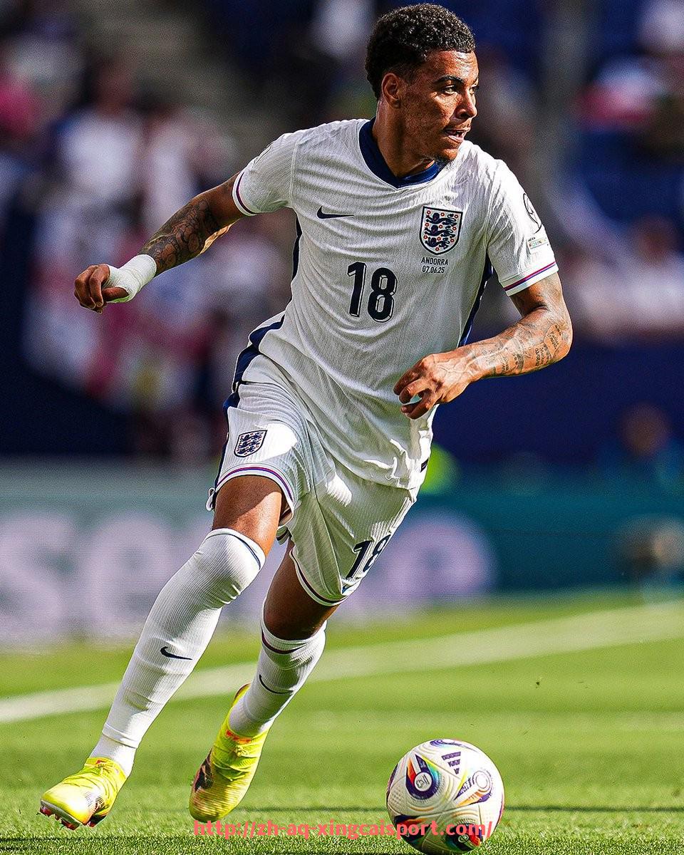 杏彩体育-英超球员与色情绯闻事件的真相调查