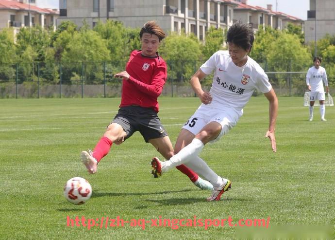 杏彩体育-世俱杯现场观众体验优化方案